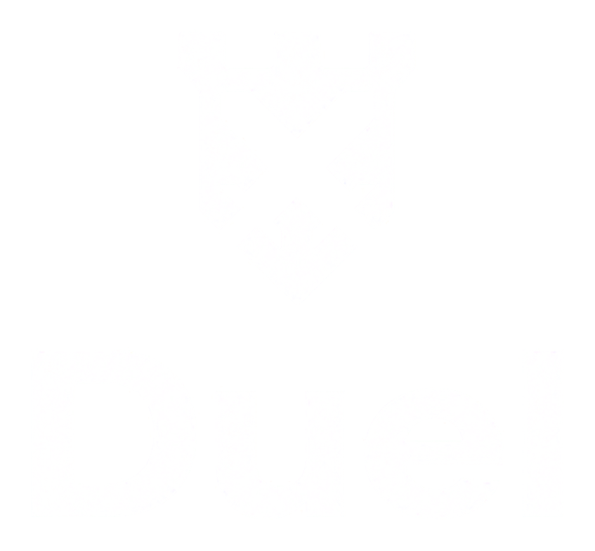 Duel logo